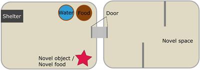 Cross-Context Responses to Novelty in Rural and Urban <mark class="highlighted">Small Mammals</mark>